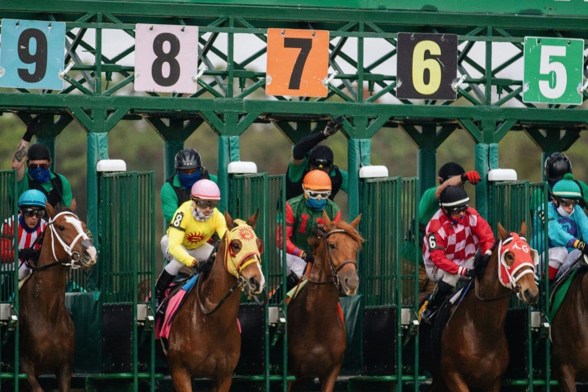 Cheltenham Mario Races Cheltenham Festival 2026: Dates, Races & Betting Overview | Pro Sports ...